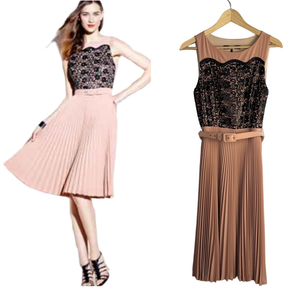 Anthropologie Eva Franco Timeless Pleated Midi Dress High Neckline Size 4 USA